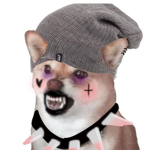 (Shiba Squad)