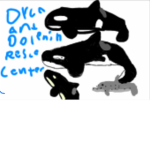 Orca & Dolphin Rescue Center