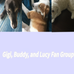 Gigi, Buddy, and Lucy's Fan Group