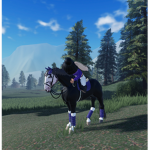 Maple Springs - Livs Riding School