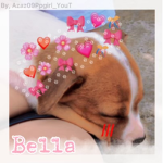 •Bella The Omega•