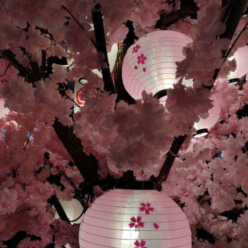 Blossomness