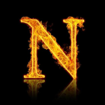 noestudio