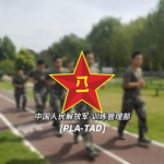 TAD训练部门