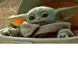 yoda funee's Place Number: 0