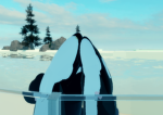 Rocky bay marine parks <3