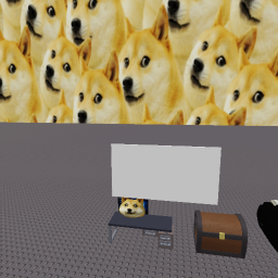 doges donate good