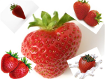 Strawberry Lovers!