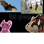 Bat love