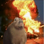 | The Capybara Army |
