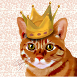 Cats Kingdom!