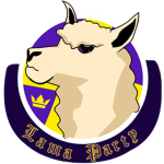 Yoyo Fan Group