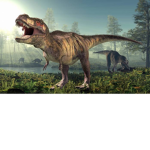 The ti-rex group