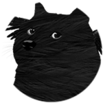 Bird Doge