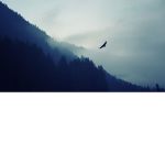 Mountain Est