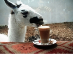 Llama Cafe