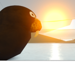 Walrus Lives Matter