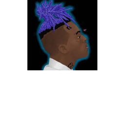 XXXTENTACION & Juice Wrld Memorial