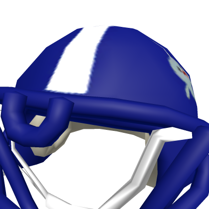 Miami Narwhals Helmet
