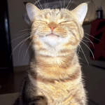 YXTLUU