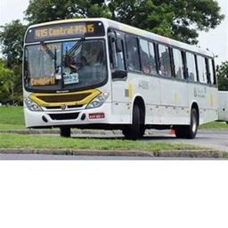 BUS OF Race icon