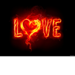 La petite love