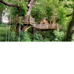 treehouse to make pfp and to vibe :)