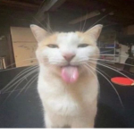 ムード。