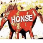 Honse