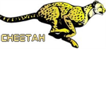 Cheetah Sportswear
