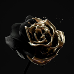 Rosyne Studios