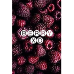 BerryXD