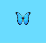 *butterflyy*