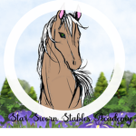 Star Sworn Stables Academy
