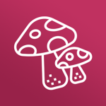 Shroombyte Games