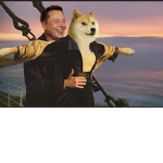 Tom bola