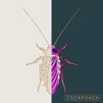 Wonderful ROACHES