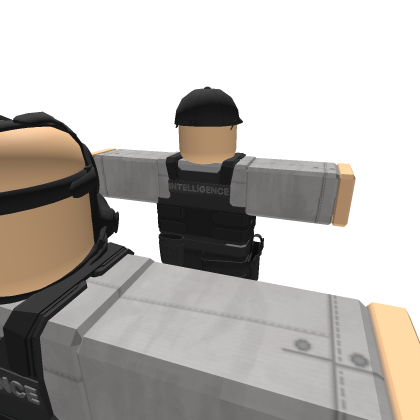 IA rigs