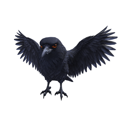 Crow Standing Over head