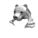 Trimmed Polar Bear Pelt
