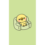 The Yellow Ducky’s to the rescue