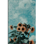 ᴛʜᴇ ᴀᴛʜᴇsᴛɪᴄ ɢʀᴏᴜᴘ
