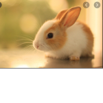 Bunny forever squad <3