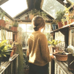 Plant Heads