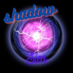 Shadow Sim
