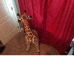 Giraffe people army