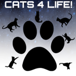Cats 4 life!