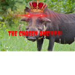 THE GREAT WARTHOG CULT!!!!!!!