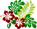 Hawaiian club