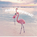 natt's apparel!